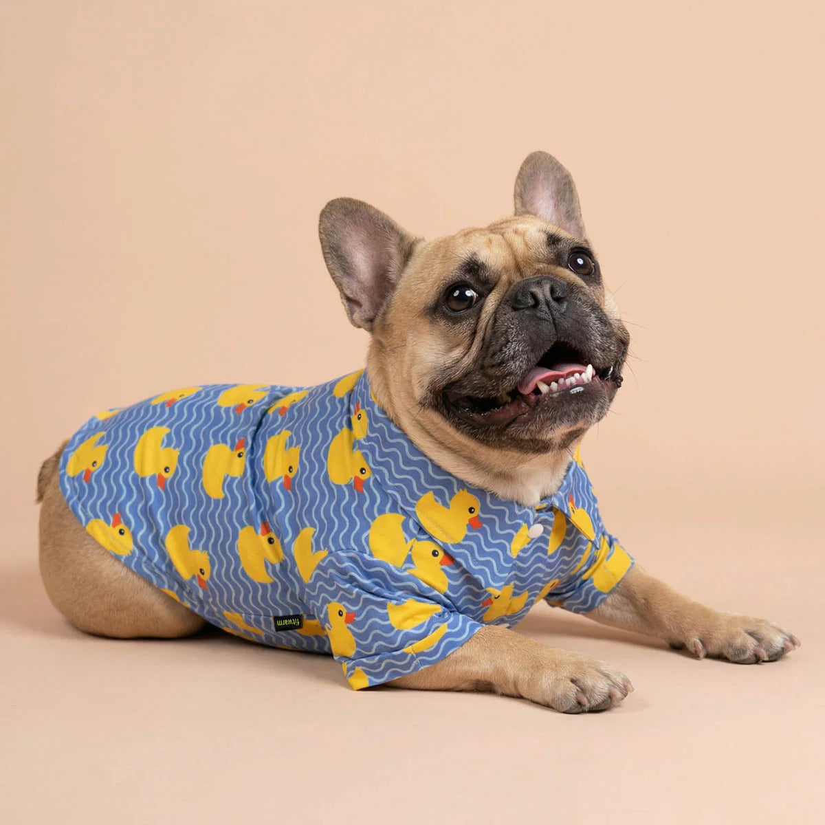 Duck Button Up Dog Shirt