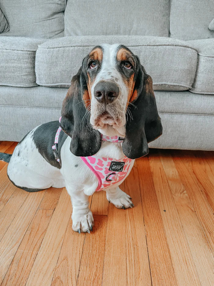 Sassy woof- pechera y correa Strawberry Milk