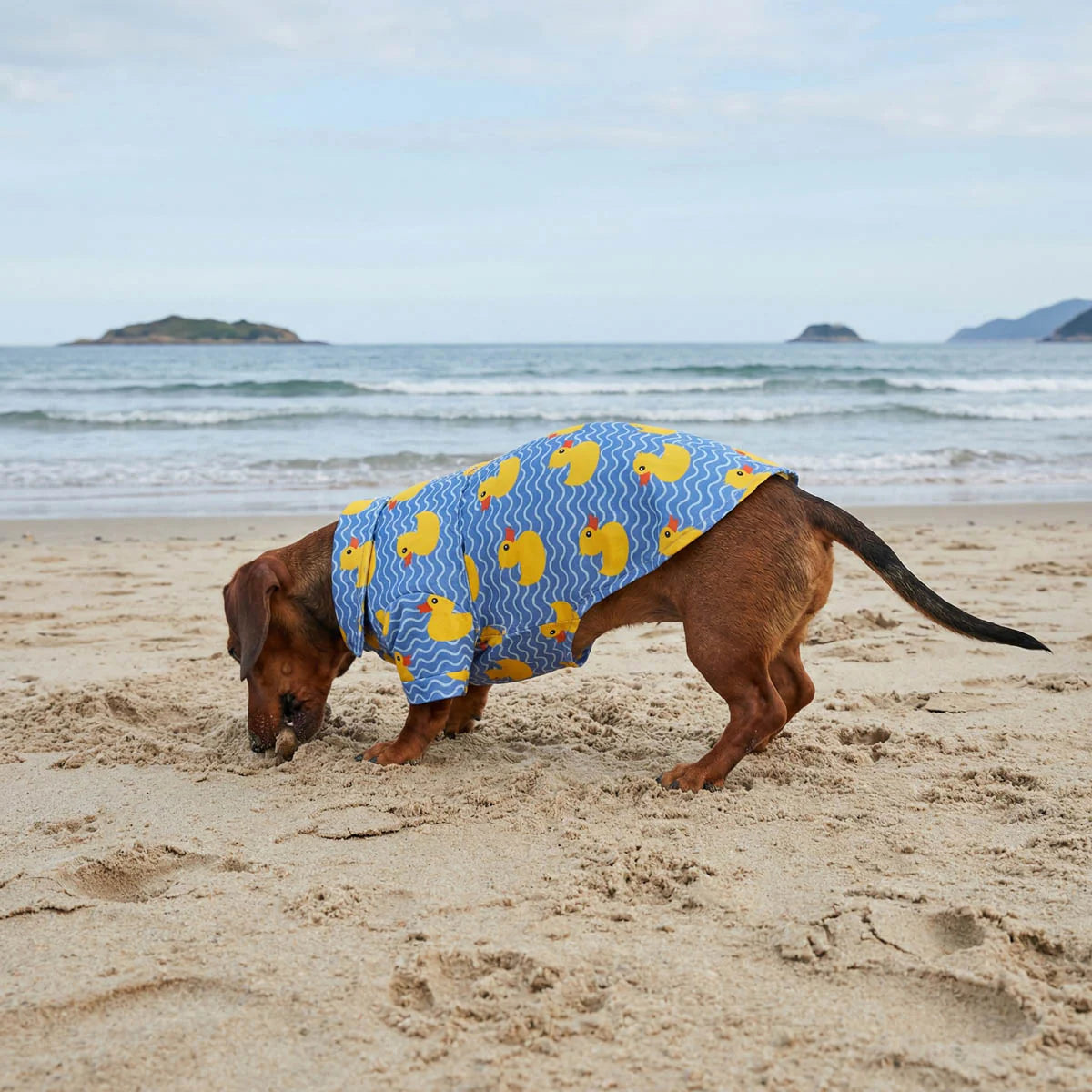 Duck Button Up Dog Shirt