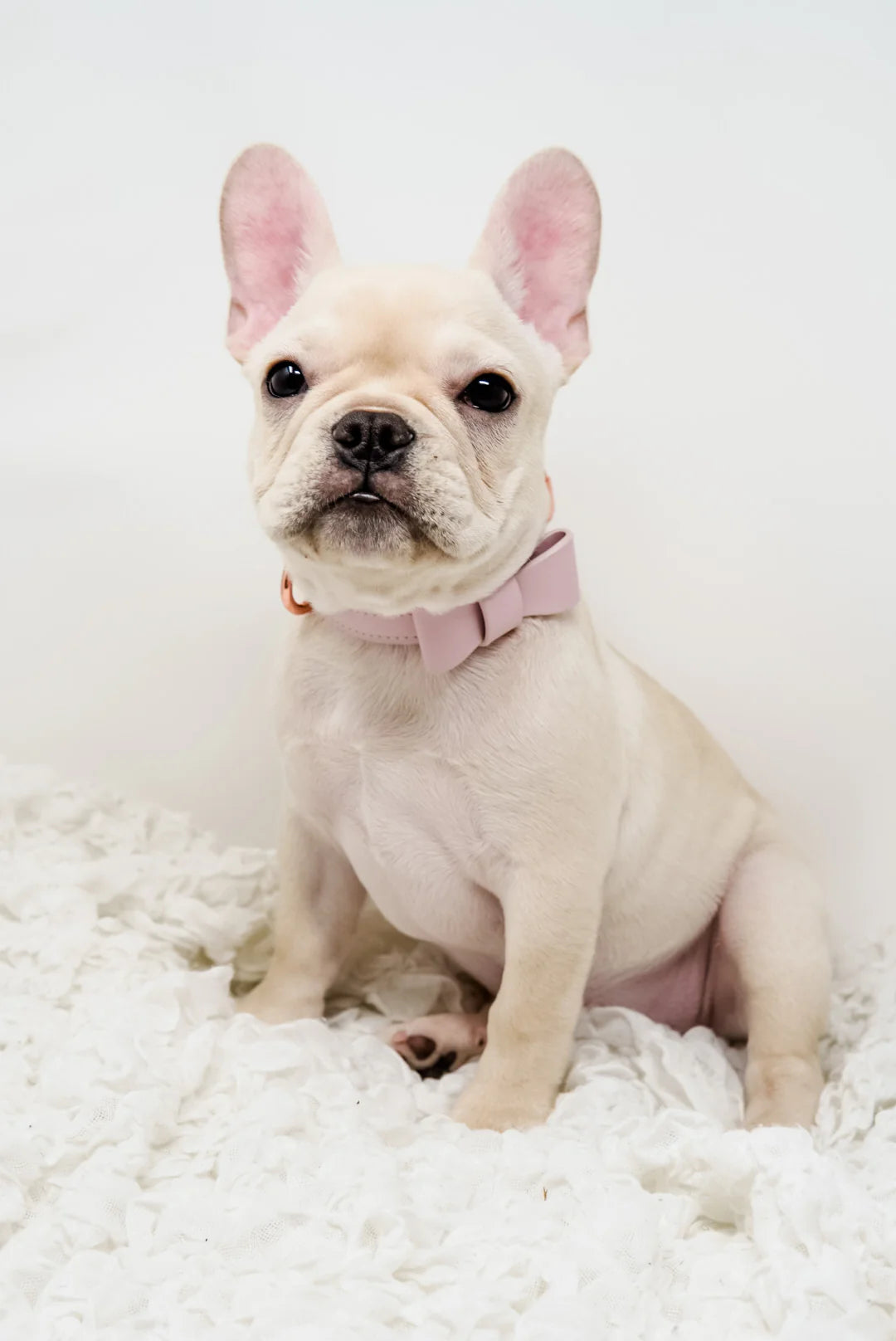 Signature Collar & Leash Set - Blush Pink