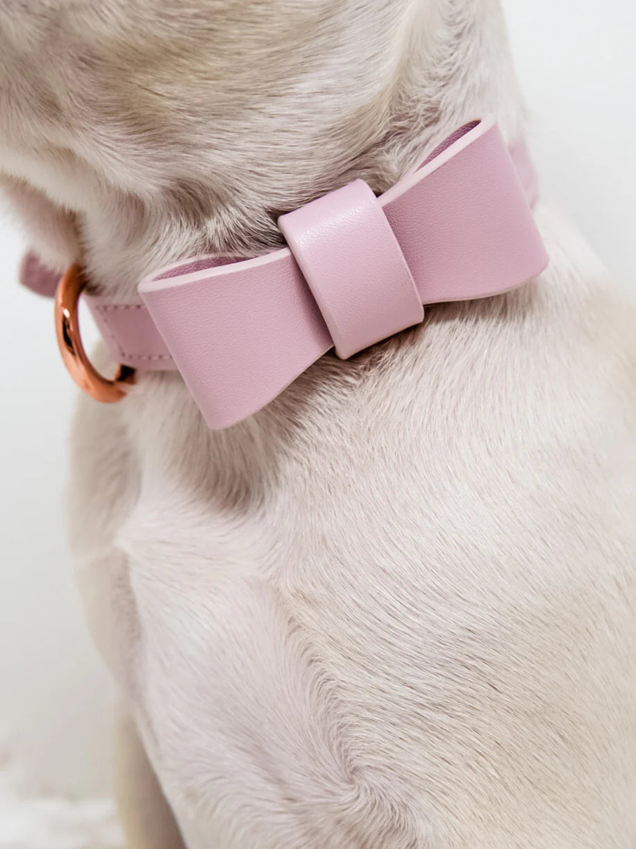 Signature Collar & Leash Set - Blush Pink