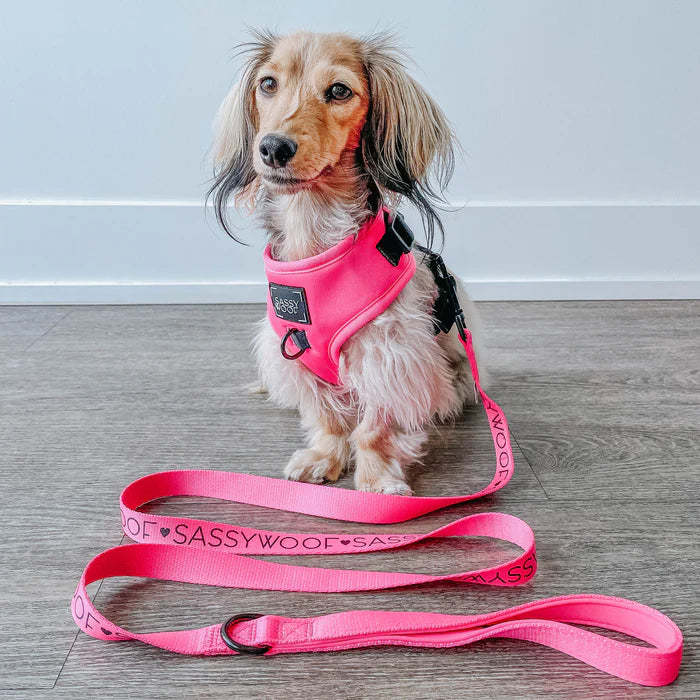 Sassy woof- pechera y correa Neon Pink