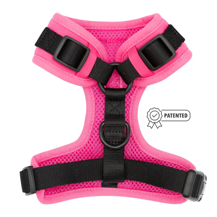 Sassy woof- pechera y correa Neon Pink
