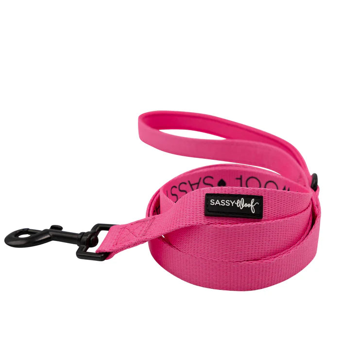 Sassy woof- pechera y correa Neon Pink