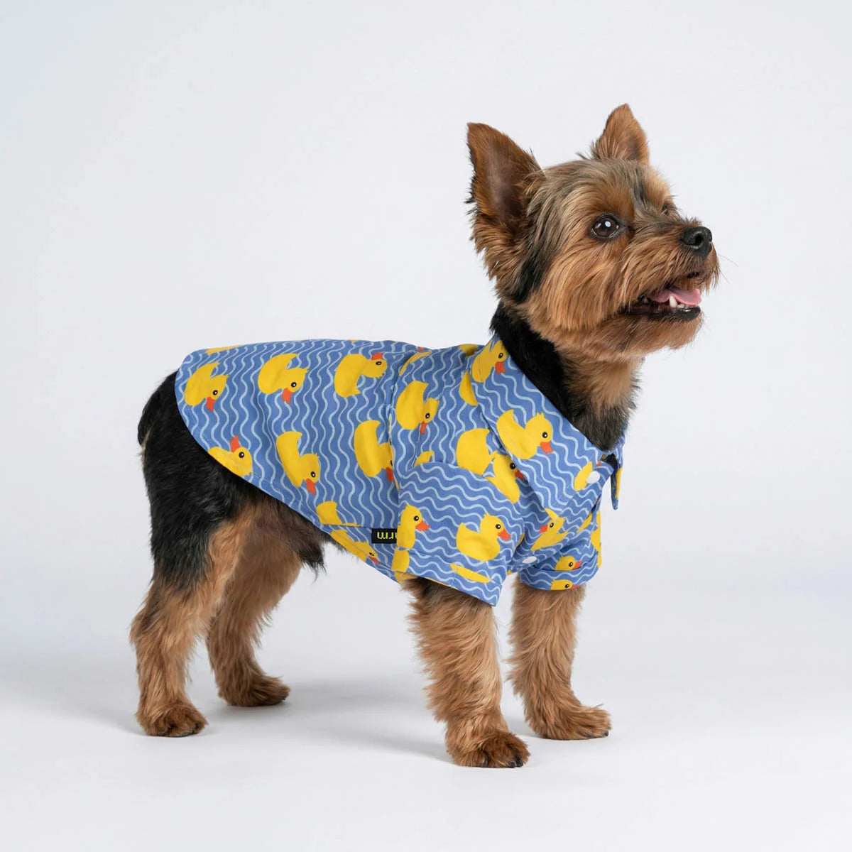Duck Button Up Dog Shirt