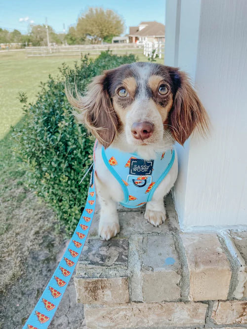 Sassy woof- Dog Reversible Harness - One Hot Pupperoni