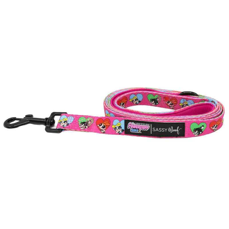 Sassy Woof- Pechera y correa ajustable PowerPuff