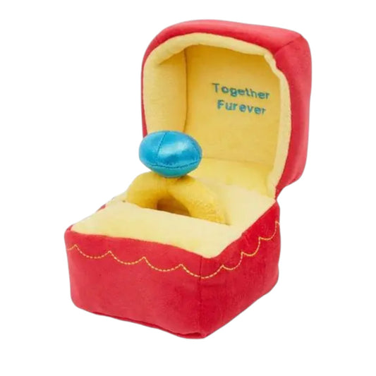 Valentine Ring 2-in-1 Plush Squeaky Dog Toy