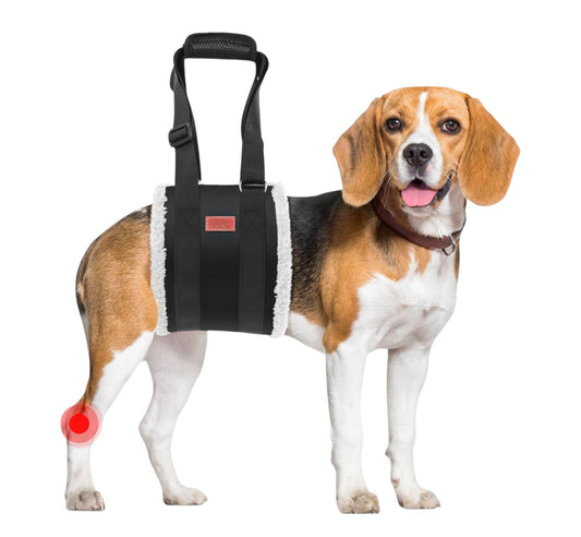 Arnés de elevación ajustable para perros, soporte de pierna trasera