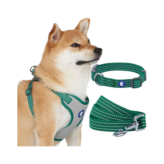 Blueberry Pet - Juego de arnés a juego con collar para perro grande