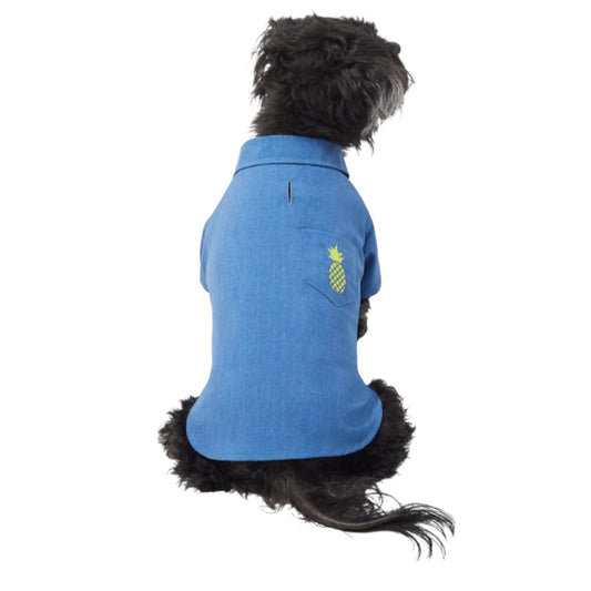 Chambray Pineapple Dog, XXL